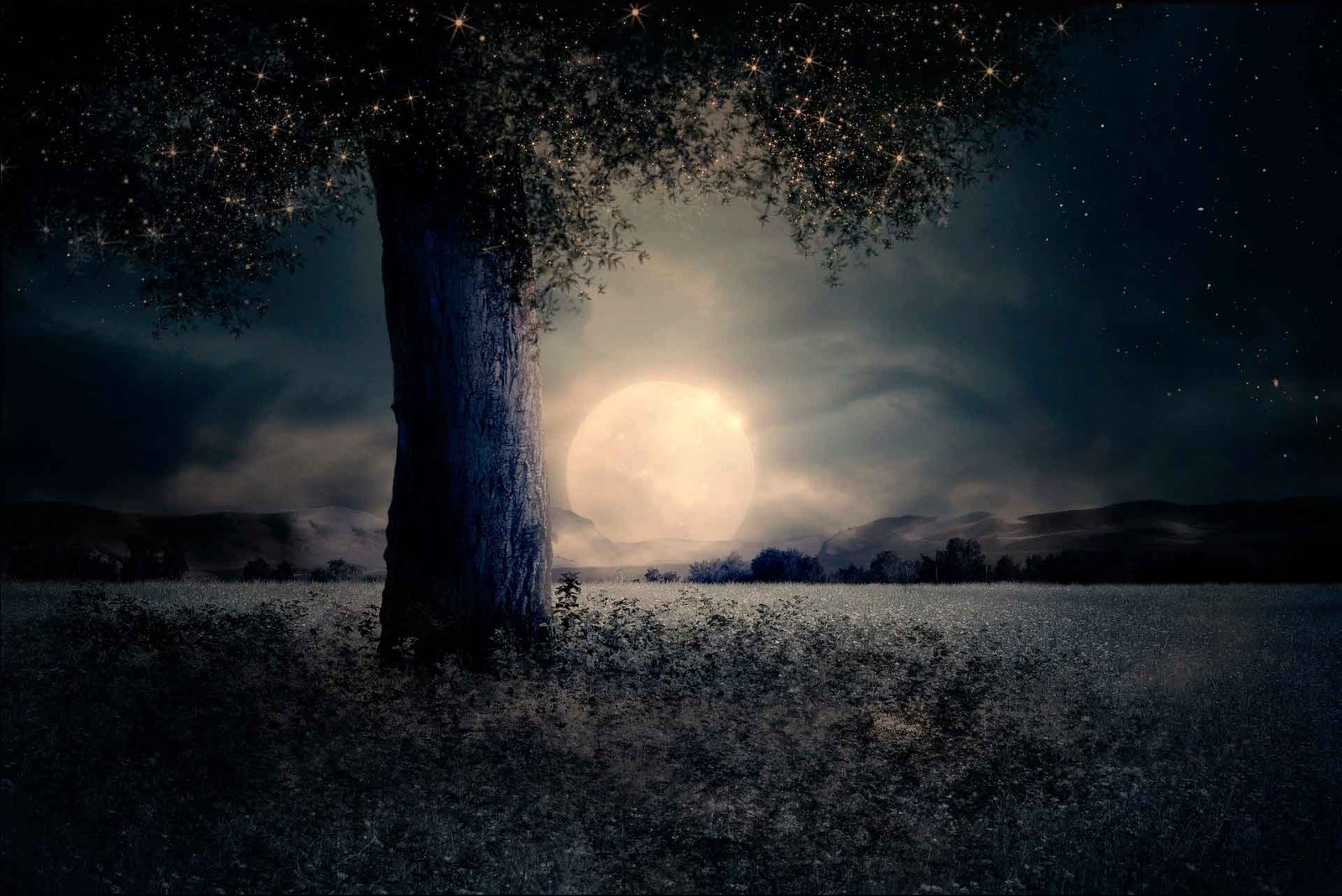 Luna llena de iluminación